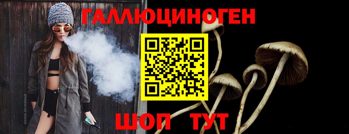 Маркс  Галлюциногенные грибы мицелий  Вход с VPN 